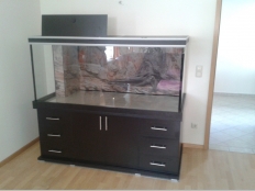 Galerie 67 - Aquariumkombination mordern+s2ts 160x80x70, exclusiv-silver (geändert zu premium-silver), 3 Kammerfilter mit Kamm mit Hintergrund Nr.1550, obere und untere Schrankplatte 28mm, Kiesblende in Schwarz, Aquarium Hintergrund Nr.1550
