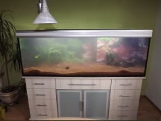 Galerie 69 - Komplett-Aquarium modern-s2ts 180x70x60, 756l, 12mm, Esche Messina D 2605 MAT, obere und untere Schrankplatte 28mm, 2 Türe aus mattem Milchglas mit Aluminiumrahmen, Aquariumhintergrund 1534, Front mit Opti-Withe, 3 Kammerfilter mit Hintergrund Nr.1534, exclusiv-silver (geändert zu premium-silver), 2 x T5 80W Aqua, LED RGB+ 180, LED White 180, Eheim Professionel 3 2080, Dennerle DUOMAT Evolution DeLuxe + Boden-Fluter 100 W