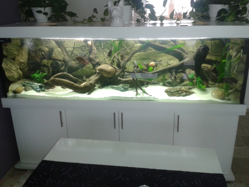 Aquariumkombination modern 200x50x60 - Rechteck, 600l, 12mm bei