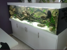 Galerie 75 - Aquariukombination modern, 200x70x60, 840l, 12mm, Weiß Alaska, Kiesblende, alle Schrankplatten außer Türen und Rückwand in 28mm, Abdeckung Aluminium (nicht mehr erhätlich), T8 2x58W