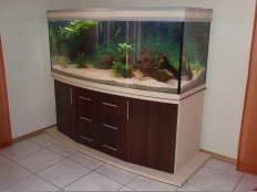 Galerie 77 - Sonderanfertigung Aquariumkombination, modern+s 150x60x60g, Gewölbt, Ahorn Weiß D2460 MAT, Nuss Dunkel D9450PR, Kiesblende, Schrankplatten 28mm, Aquariumhintergrund: 1525, exclusiv-silver, verlängerte Bodenplatte