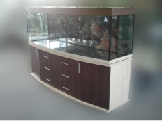 Galerie 80 - Sonderanfertigung modern-s2ts, Gewölbt, 200x60x70g, Kiesblende, Ahorn Weiß / Nuss Dunkel, Auflageplatte und Bodenplatte 28mm, Abdeckung nicht mehr aktuell, Aquariumhintergrund 1549