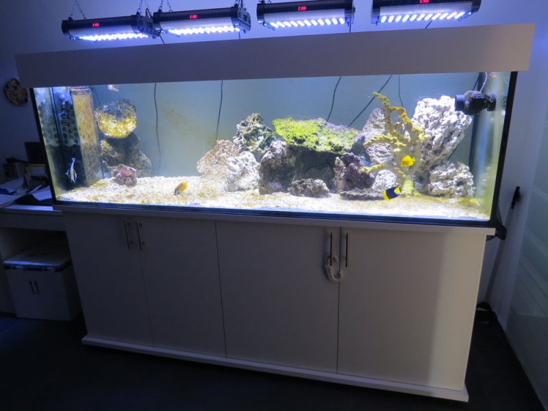 Aquariumkombination modern 200x50x60 - Rechteck, 600l, 12mm bei