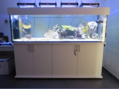 Galerie 84 - modern Aquariumkombination 200x60x60 Weiß Alaska U8681 SM, Schrankhöhe 80cm, Schrankplatten 28mm, Innenraumabdichtung: 80x55x75, 3 Kammer Filterbecken im Schrank 70x50x50, Überlaufschacht: links, verstellbare Füße, comfort ohne Abdeckplatten