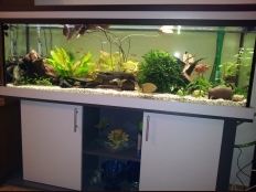 Galerie 87 - standard+r 150x40x50, Sonderanfertigung, Aquariumkombination, Rechteck, 10mm, Grau U112 PE, Eliza D495 PE, premium-black, LED White+ Dimming, Kiesblende: Grau, Aquarium Unterlage