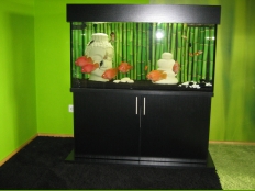Galerie 89 - modern Aquariumkombination, 120x60x60, 432l, 10mm, Schwarz U190 SE, Platten 28mm, Aquariumhintergrund 1527, 3 Kammerfilter mit Hintergrund, comfort, 2 x LED White, Untere Platte vorne und seitlich um 5cm breiter