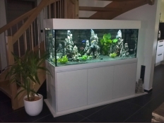 Galerie 98 - Trend 150x50x60, 450l, 10mm, Aquariumkombination, Weiß Alaska, Klicksystem, obere und untere Schrankplatte 28mm, Druckverklebung, 10 Jahre Garantie auf Dichtigkeit, Abdeckung universal, 2 x LED 32W White, Kiesblende