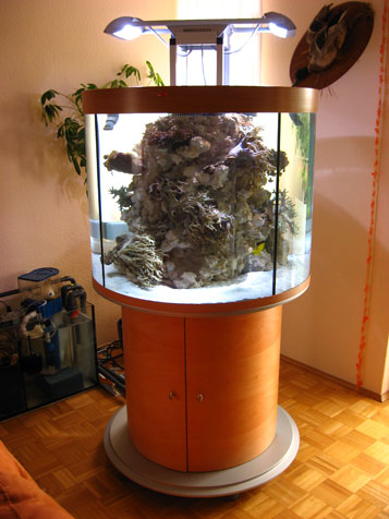 Rundaquarium Meduza6